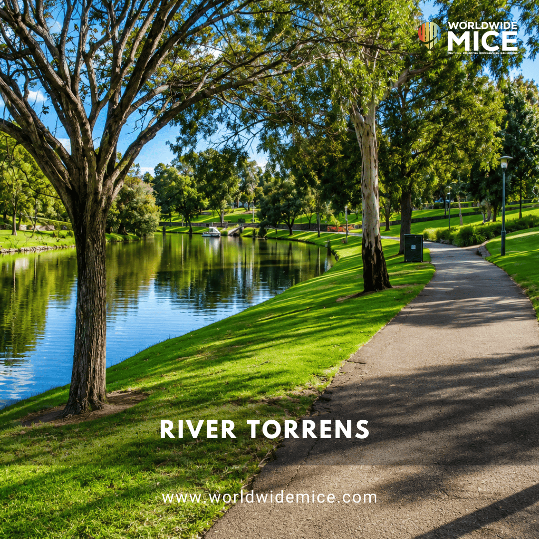 River Torrens